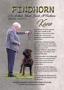 Findhorn Bullmastiffs